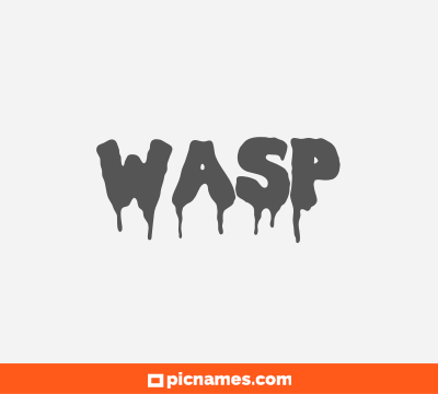 Wasp