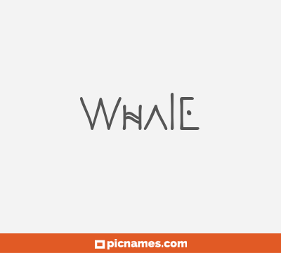 Whale