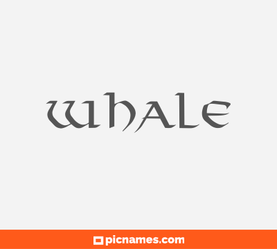 Whale