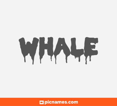 Whale