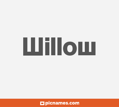 Willow