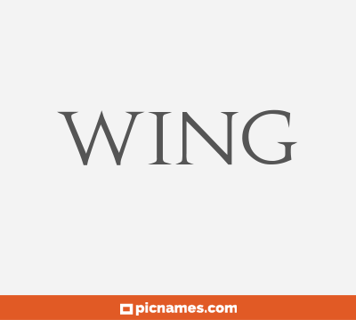 Wing