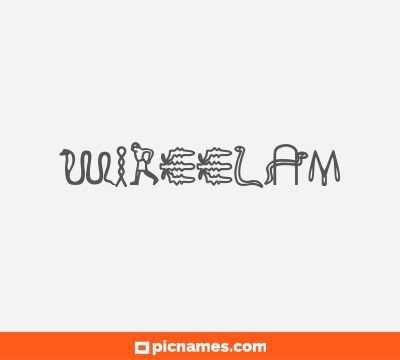 Wireelam