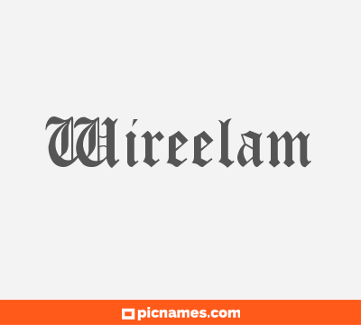 Wireelam