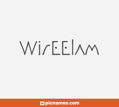 Wireelam