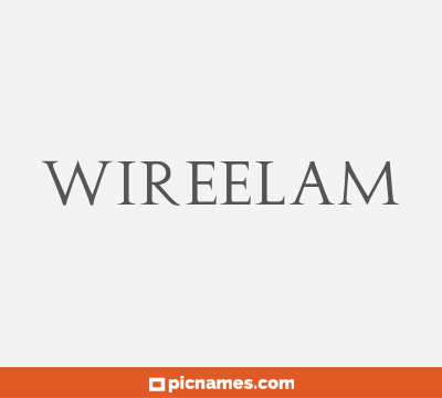 Wireelam