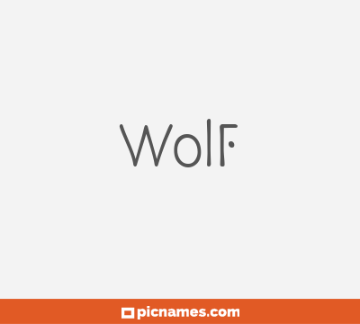 Wolf