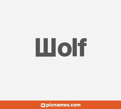 Wolf