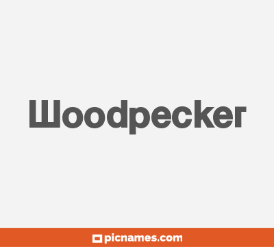 Woodpecker