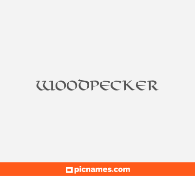 Woodpecker