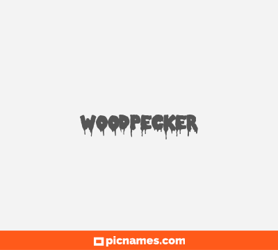 Woodpecker