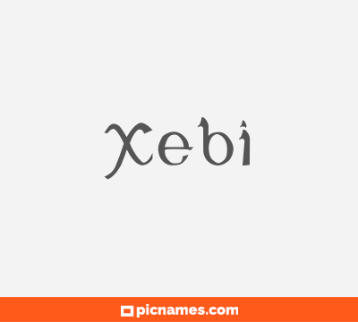 Xebi