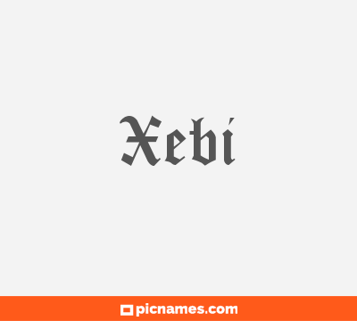 Xebi