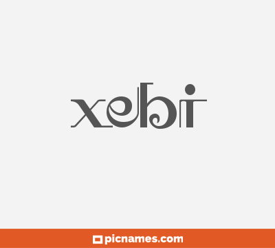 Xebi