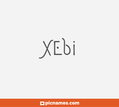 Xebi