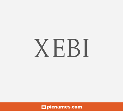 Xebi