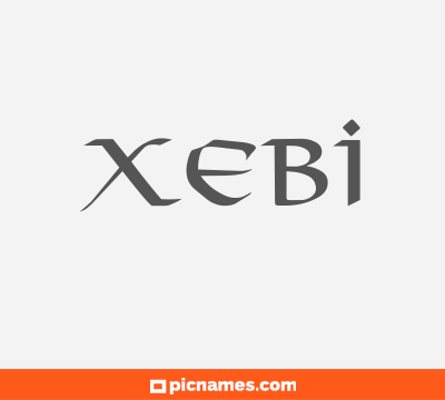 Xebi
