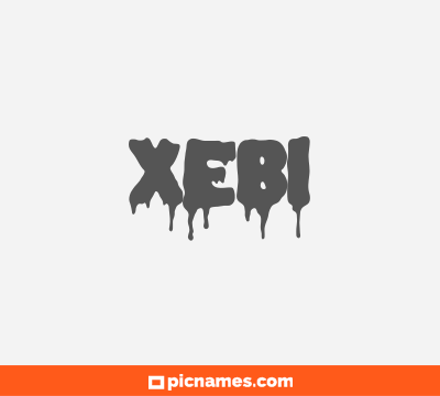 Xebi
