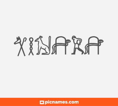 Xinara