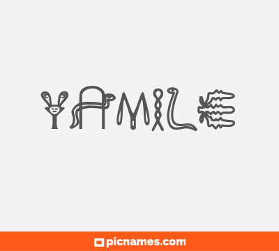 Yamile