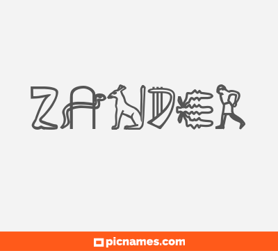 Zander