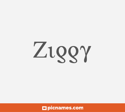 Ziggy