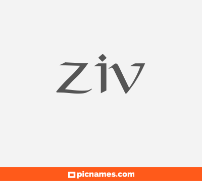 Ziv