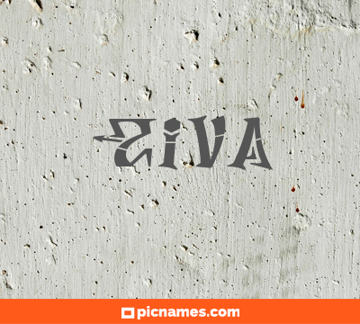 Ziva