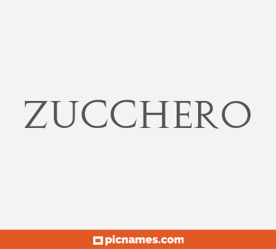 Zucchero