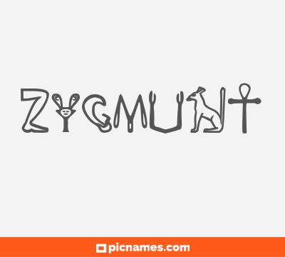 Zygmunt